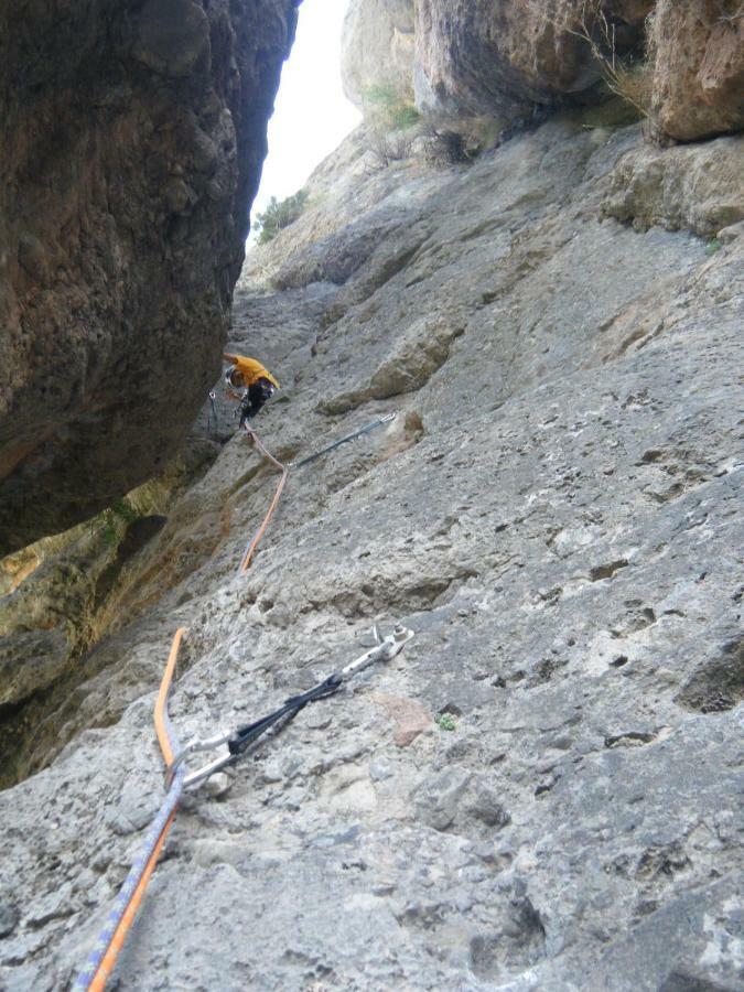 Amaroq Explorers Basecamp Tremp Eksteriør bilde