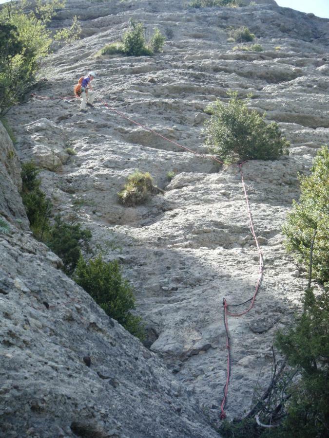 Amaroq Explorers Basecamp Tremp Eksteriør bilde